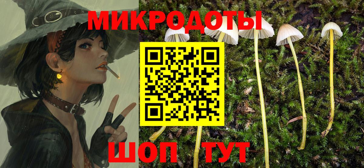 Вичуга  Галлюциногенные грибы прущие грибы  Вход с VPN 